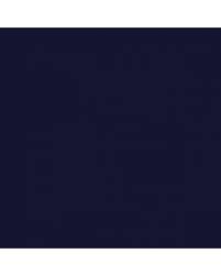 Image result for Nightwatch Blue 1984 Dodge