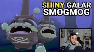 Nach bezahlung innerhalb von 24 stunden ve… Shiny Galar Smogmog Nach 1192 Encountern Reaction Pokemon Schwert Schild Youtube