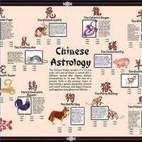 Proomic Chinese Zodiac Chinese Astrology 2011 Chinese