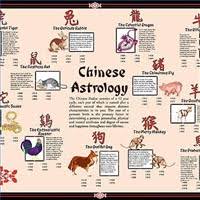 proomic chinese zodiac chinese astrology 2011 chinese