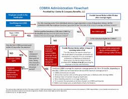 cobra administration flow chart 06 27 16 clarke benefits