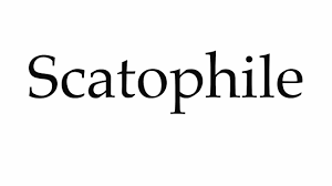 How to Pronounce Scatophile - YouTube
