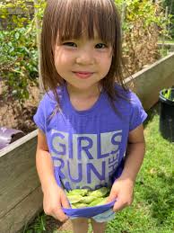 Jack got to harvest some peas from the driveway garden. He loves his  veggies!