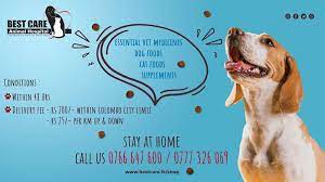 Our purpose is to provide the highest standard of veterinary care for your loved ones. Best Care Animal Hospital