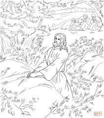 So download & enjoy good friday 1 jesus pray in the garden of gethsemane coloring pages and images in black & white. Jesus Prays In The Garden Of Gethsemane Disciples Sleeping Coloring Page Jesus Praying Jesus Coloring Pages Coloring Pages