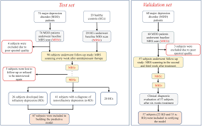 Image result for Refractory Depression Management