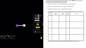 Phet molecular shapes worksheet answers; Phet Molecule Shapes Worksheet Answer Key Quizlet