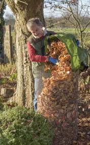 Herbstlaub Sinnvoll Verwenden Garten Garten Pflanzen Garten Anpflanzen