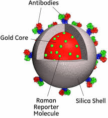 Kết quả hình ảnh cho biology raman spectroscopy
