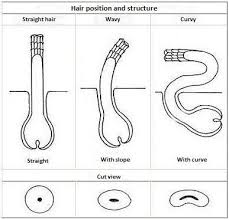 Straighten Your Beard Zavitye Volosy Rost Volos Muzhskie Strizhki