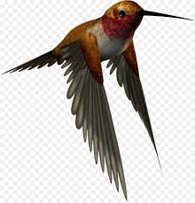 400,280 clipart in 20,014 handpicked categories. Display Auflosung Kostenlos Content Clipart Hohe Auflosung Clipart Png Herunterladen 1545 1600 Kostenlos Transparent Fink Png Herunterladen