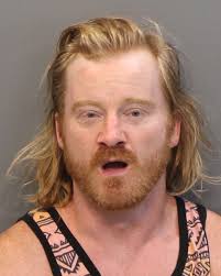 Portland man charged with bringing ecstasy, LSD and heroin into Soddy Daisy 