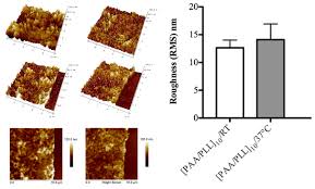 Anti Bacterial Efficacy Via Drug Delivery System From Layer By Layer Coating For Percutaneous Dental Implant Components Centro De Desenvolvimento De Materiais Funcionais Cepid Fapesp
