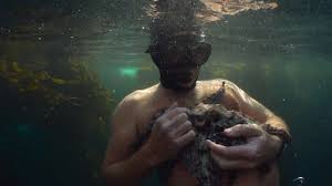 Последние твиты от pippa ehrlich (@pippaehrlich). Clem S Film Diary My Octopus Teacher 2020 Pippa Ehrlich James