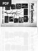 Image result for Sphaerocyperus erinaceus