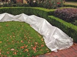 How To Protect Your Landscape From Freezing Temperatures Harold Leidner Offers Tips To Help Your Plants We Frost Protection For Plants Plants Plant Protection
