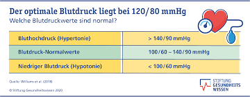 Wann niedriger blutdruck gefährlich werden kann). Wie Wird Der Blutdruck Reguliert Stiftung Gesundheitswissen