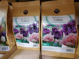 Slow release fertilizer will allow for a second. Peony Bulbs Costco