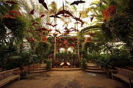 Check spelling or type a new query. Phipps Conservatory And Botanical Gardens Wikiwand