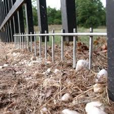 Dig a trench under the fence that is deep enough to comfortably lay the chicken wire inside. Dig Defence Large Animal Barrier 25 Pack Dd3103225 At Tractor Supply Co