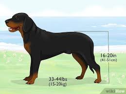 Image result for slovenský kopov