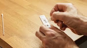 However, experts strongly advise that anyone who thinks they may have ed. Covid 19 Self Test Not 100 Accurate Authorities Warn Nl Times