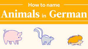 See full list on indifferentlanguages.com The German Animal Names Flowchart
