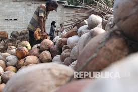 Rancangan penelitian pengujian hasil pengujian kerapatan tujuan penelitian mengetahui koefisien absorbsi bunyi pada papan partikel berbahan limbah sabut kelapa. Sabut Kelapa Mengandung Antibiotik Alternatif Republika Online