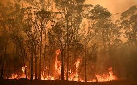 Several homes have been lost and more than 230 hectares burnt from a bushfire which is currently located north east of perth. Australia Fires Huge Area Of Perth On Alert As Winds Fan Bushfire Rnz News
