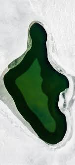 Iphone xs max iphone x / xs iphone 6s+/7+/8+ iphone 6/6s/7/8. Green And White Heart Shaped Illustration Iphone X Wallpapers Free Download