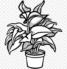 The image is png format and has been processed into transparent background by ps tool. Watercolor Potted Plants Clipart Potted Plants Cactus Clip Art Black And White Plant Png Image With Transparent Background Toppng