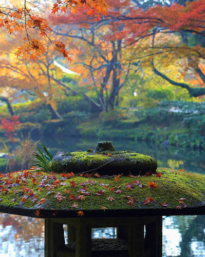 Scenes of Fall Foliage at Naritasan Shinsho-ji Temple and Naritasan Park,  Narita City, Chiba Expected Peak Colors: Late November to Early December  Naritasan Shinsho-ji Temple and the adjacent Naritasan Park are part