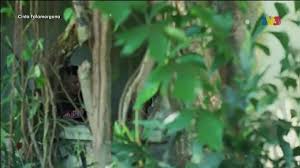 Cinta fatamorgana episod 23 live drama full episode. Cinta Fatamorgana Episod 5