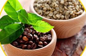 Our cigar lounge is the ideal location to relax and enjoy our hand rolled cigars and fine cuban coffee. Ybor City Gold Coffee Company Tampa Fl 33604 Yp Com