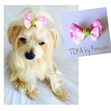 Kopekkiyafeti Kopekelbisesi Dogclothes Dogfashion Kemique Www Kemique Com Kopek Aksesuarlari Kopek Accessories