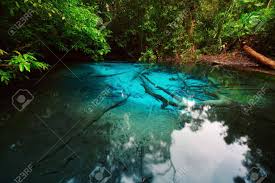 Whether it's slightly green or thick like pea soup, where you can't see the bottom and only get glimpses of the fish, this quick cleaning method for pond water may work for you. Small Lake In Tropical Forest With Clear Blue Water Stock Photo Picture And Royalty Free Image Image 8581138