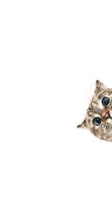Pin By Kelly Elks On Wallpaper Cat Wallpaper Funny Iphone Wallpaper Iphone Wallpaper