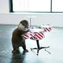 Profile Picture of In Otter News - Steve would dearly love to be able to play the drums ... (@facebook.com) on Google