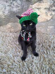 Elf Hat For Cats Cat Elf Costume Christmas Hat For Cat Lovers Pet Accessories Elf Outfit For Cat Kitty Elf Costume Christmas Outfit Elf Clothes Christmas Hat Elf Hat