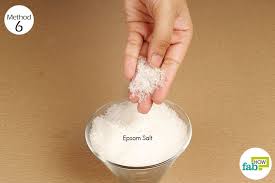 How to use epsom salt in your vegetable garden. How To Use Epsom Salt In Garden For Improving Plant Growth Fab How