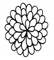 Download and print free giant marigold coloring pages. Top Marigold Coloring Pages For Your Little Ones Coloring Pages