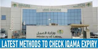 Iqama Validity Check In Ksa With New Methods 2020 Visa Guide Custom One Time Password Method