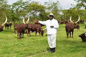 Yoweri kaguta tibuhaburwa museveni (born 15 september 1944) is a ugandan politician and retired senior military officer who has served as president of uganda since 1986. Yoweri Museveni Net Worth 2021 And House Glusea Com