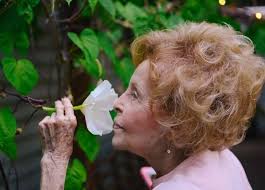 Joyce Strait Obituary April 3, 2019