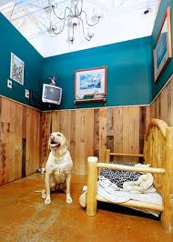 2818 north main street, walnut creek, ca. All Suite Dog Resort Truckee Tahoe Pet Lodge Lake Tahoe
