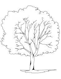 Download high quality elm tree clip art from our collection of 65,000,000 clip art graphics. Free Printable Tree Coloring Pages For Kids Tree Coloring Page Leaf Coloring Page Coloring Pages