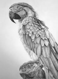 Artists who make dark art pencil drawings often aim for sharp precision, while softer leads are artists often experiment with different kinds of pencils to the eiffel tower drawing and sketches are also very famous and demanding. Top 10 Best Pencil Artists In The World Topteny Com Pencil Drawings Of Animals Realistic Drawings Pencil Portrait Drawing