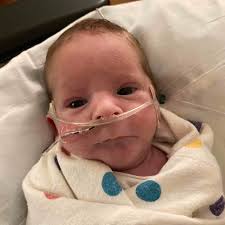 West Lincoln Athletics