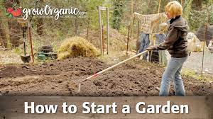 How To Start A Garden - Youtube