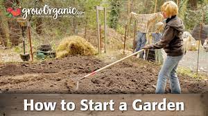 Try these simple tips and before long you will be well on your way to your first garden! How To Start A Garden Youtube